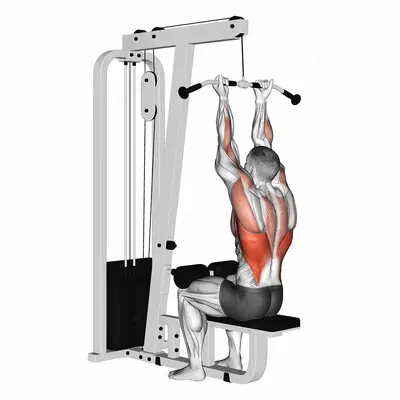 Cable Reverse grip Straight Back Seated High Row exercise targeting Back