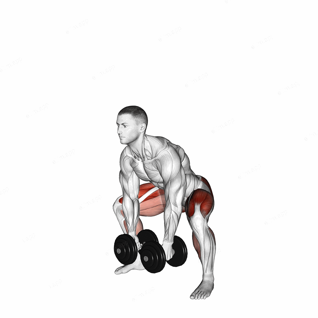 Dumbbell Sumo Deadlift exercise targeting Hips