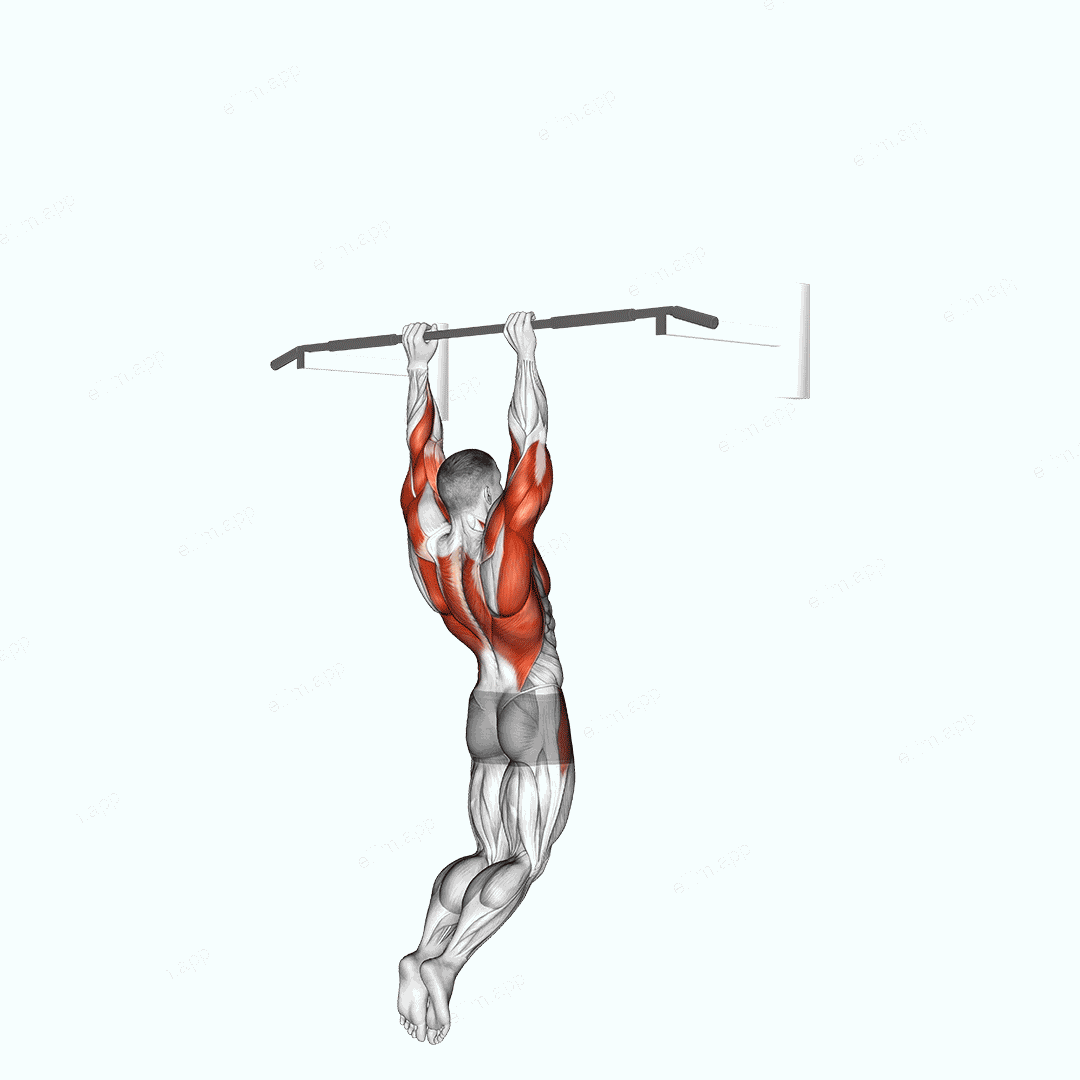 Muscle up (on vertical bar) exercise targeting Back