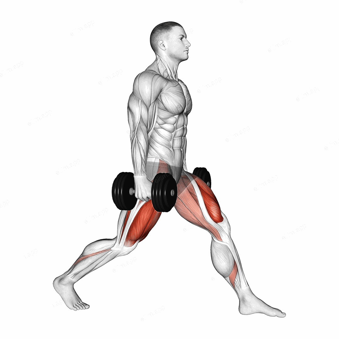 Dumbbell Static Lunge exercise targeting Thighs and Gluteus Maximus
