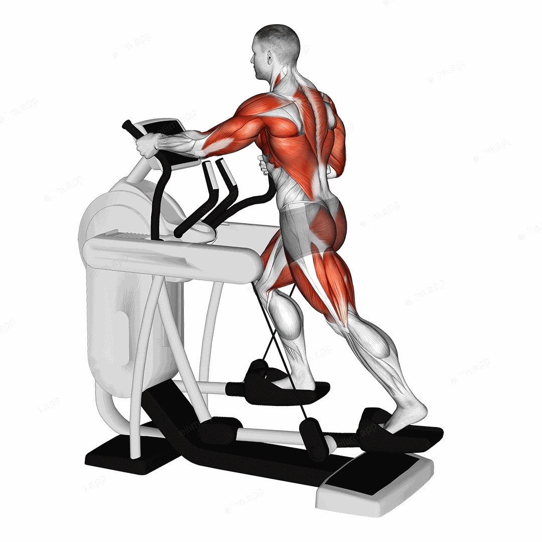 Elliptical Machine Walk exercise targeting Cardio and Biceps Brachii