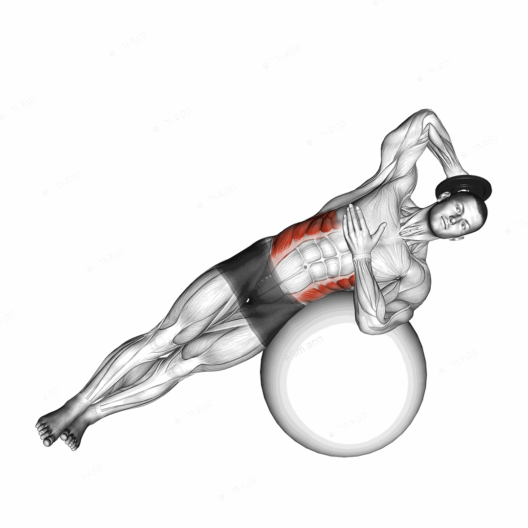 Weighted Side Bend (on stability ball) exercise targeting Waist and Obliques