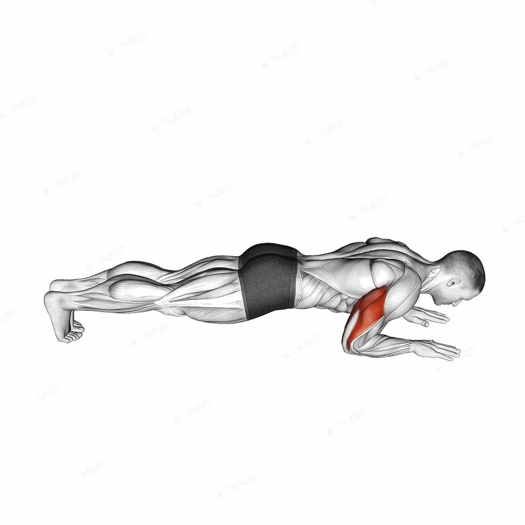 Body Up exercise targeting Upper Arms