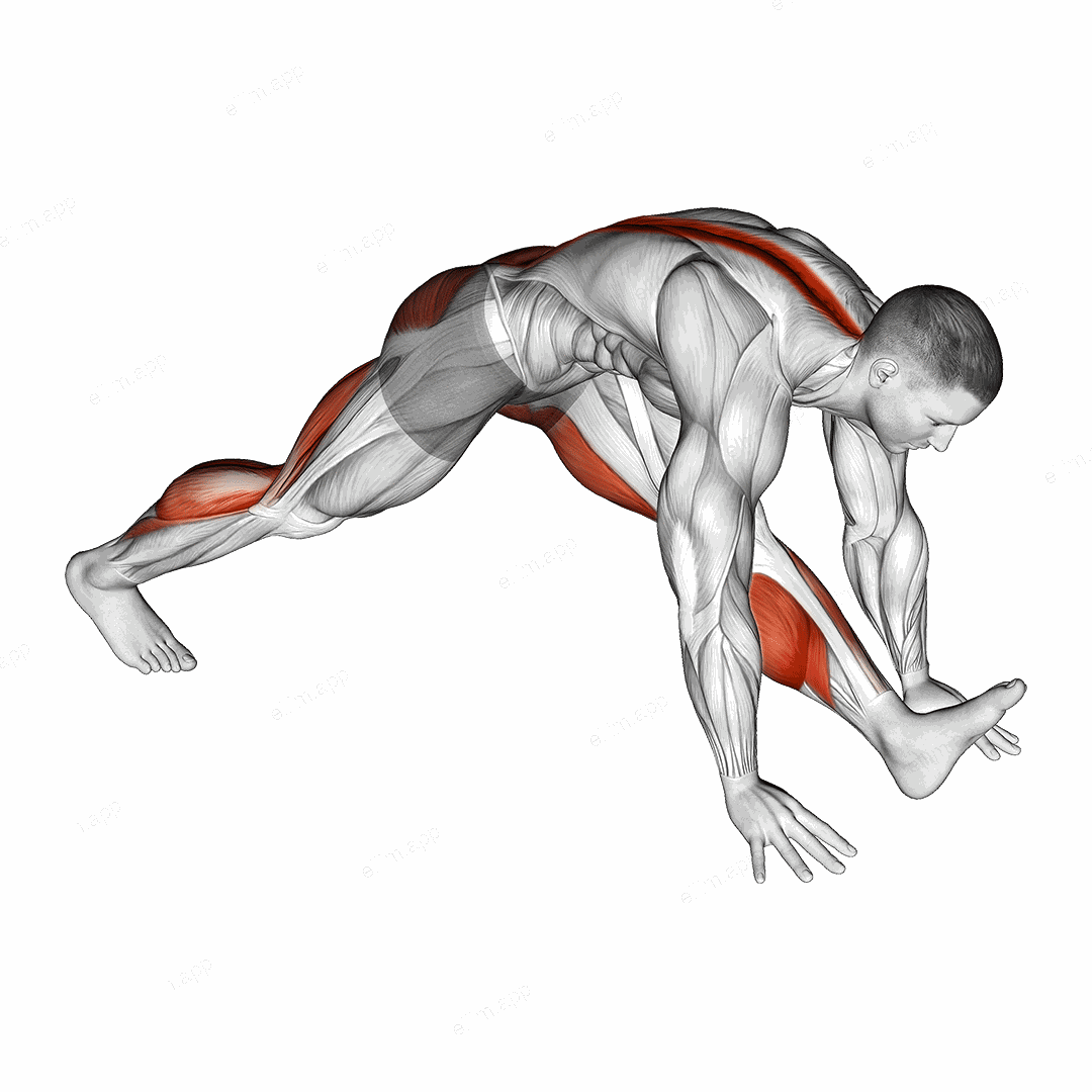 Front Hamstring Stretch exercise targeting Hips and Thighs