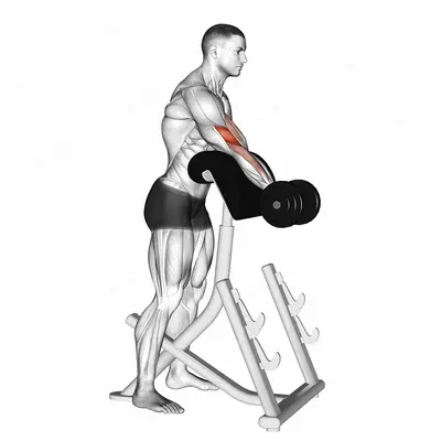 Dumbbell Standing Preacher Curl exercise targeting Upper Arms and Brachialis