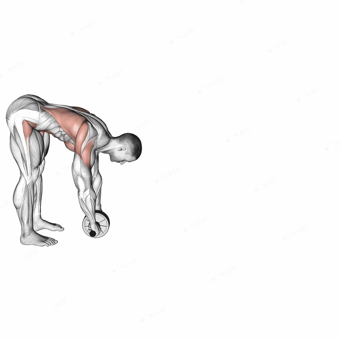 Standing Wheel Rollout exercise targeting Waist and Iliopsoas