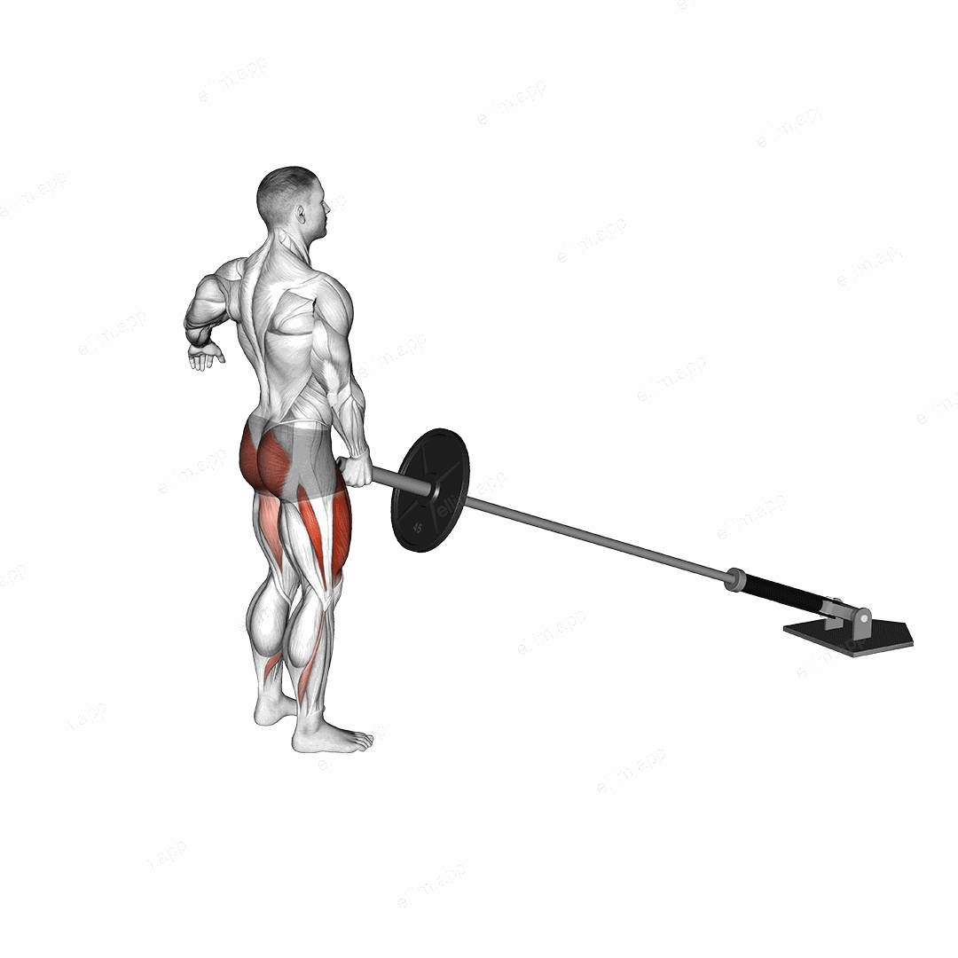 Landmine Rear Lunge exercise targeting Gluteus Maximus and Quadriceps