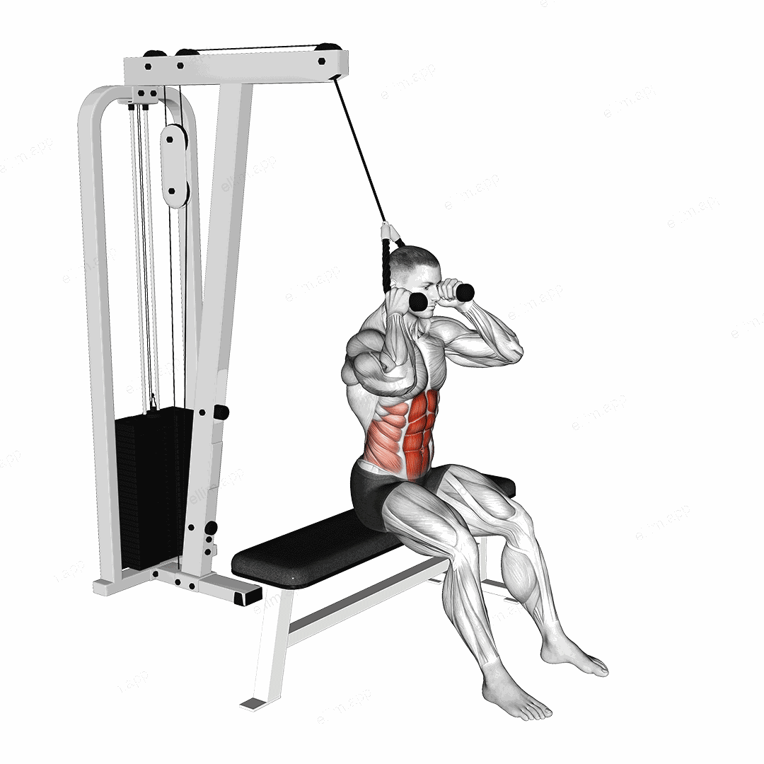 Cable Seated Crunch exercise targeting Waist and Rectus Abdominis