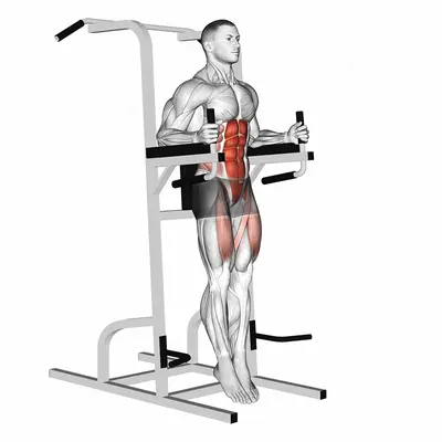 Captains Chair Straight Leg Raise exercise targeting Waist and Iliopsoas