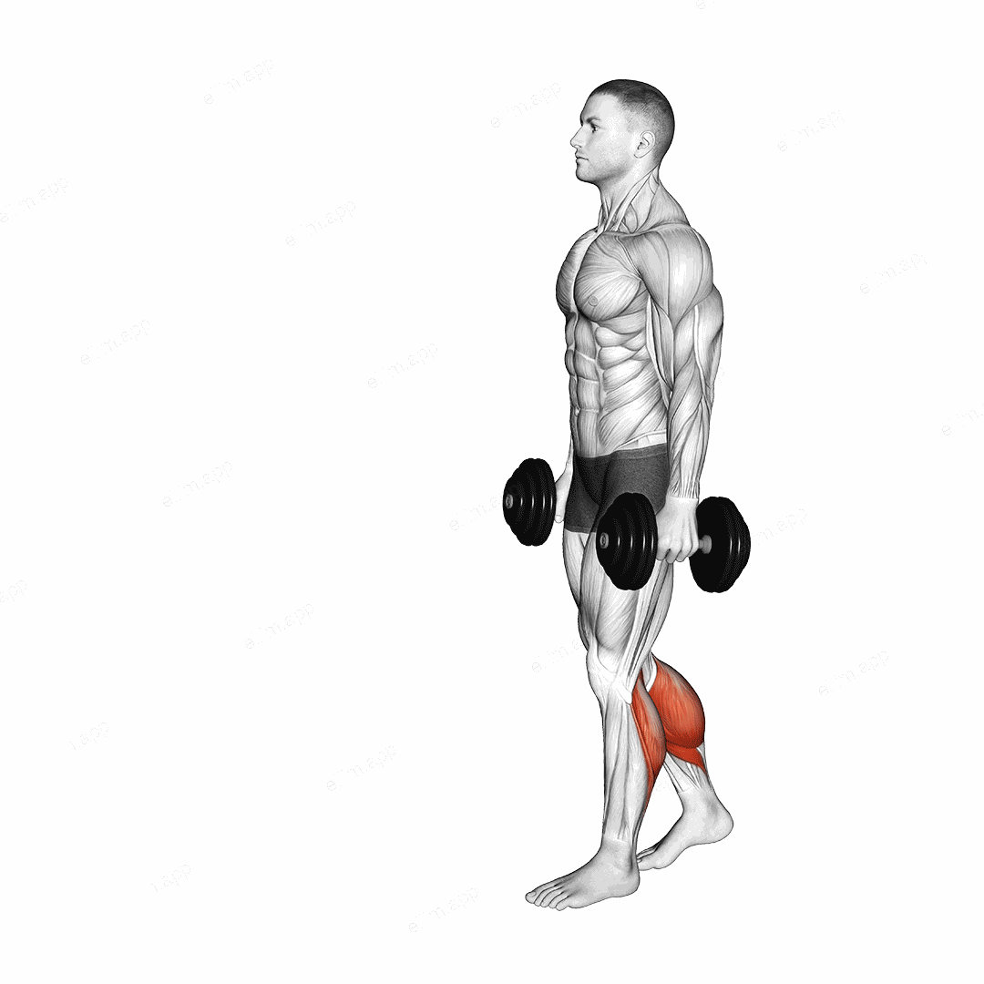 Dumbbell Walking Calf Raise exercise targeting Calves