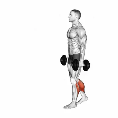 Dumbbell Walking Calf Raise exercise targeting Calves