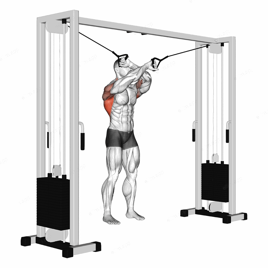 Cable Lat Pulldown Full Range Of Motion exercise targeting Back and Latissimus Dorsi