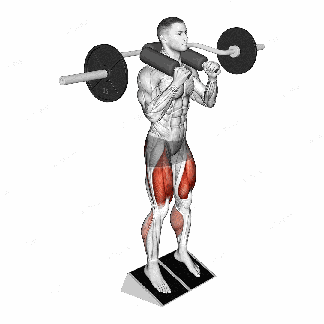 Safety Bar Elevated Heel Squat exercise targeting Thighs