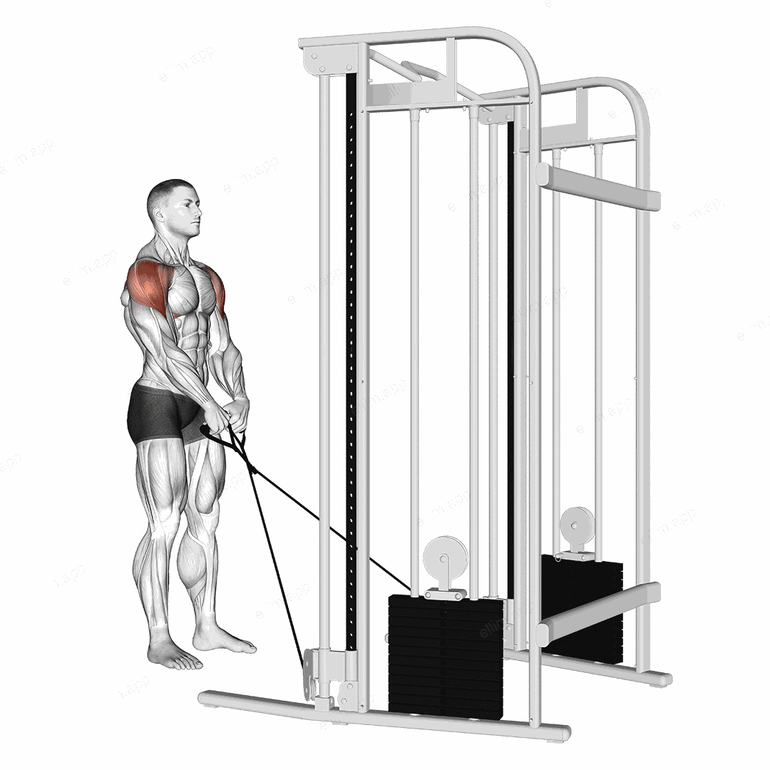 Cable Y raise exercise targeting Shoulders