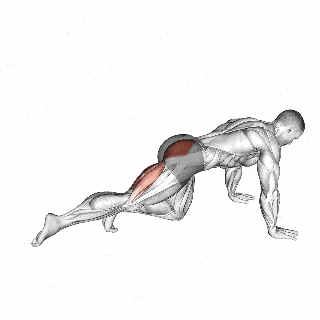 Kneeling Pulse exercise targeting Hips and Erector Spinae