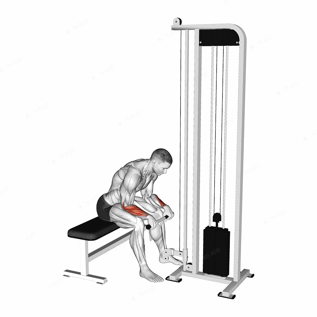 Cable Reverse Wrist Curl exercise targeting Forearms and Wrist Extensors