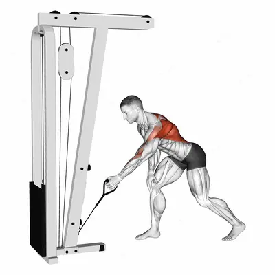 Cable One Arm Bent over Row exercise targeting Back and Infraspinatus