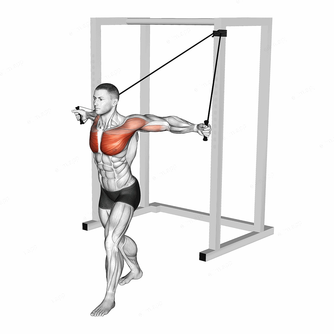 Band Alternate Low Chest Fly exercise targeting Chest and Pectoralis Major Sternal Head
