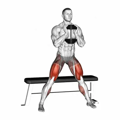 Dumbbell Side Bench Squat exercise targeting Thighs