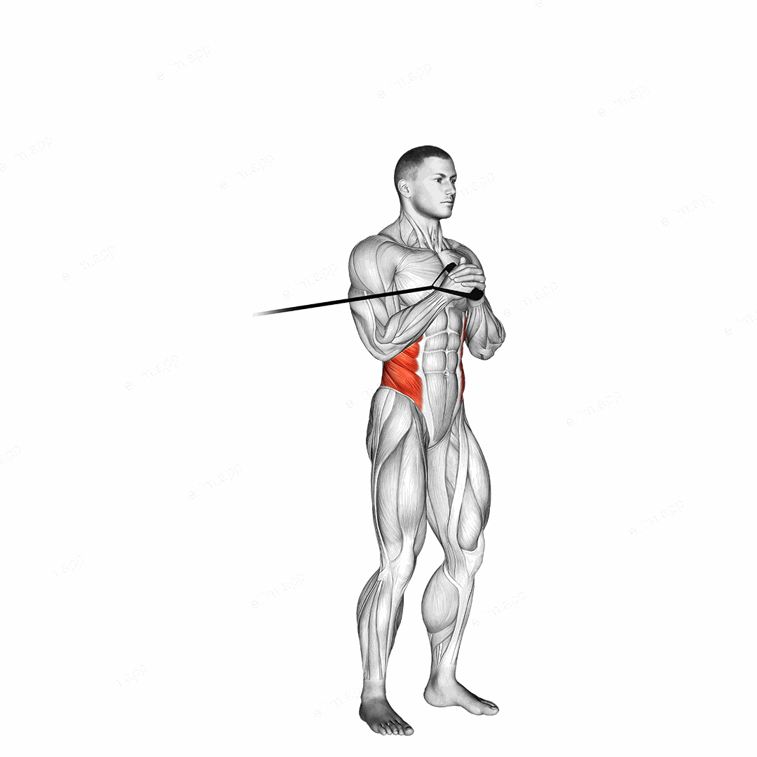 Band vertical Pallof Press exercise targeting Waist and Obliques