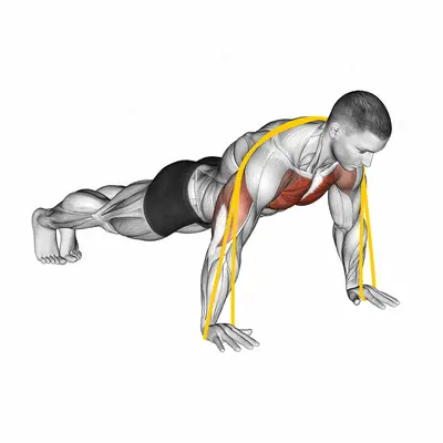 Resistance Band Push-up exercise targeting Chest