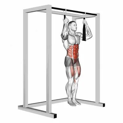 Arm Slingers Hanging Straight Legs exercise targeting Waist and Iliopsoas