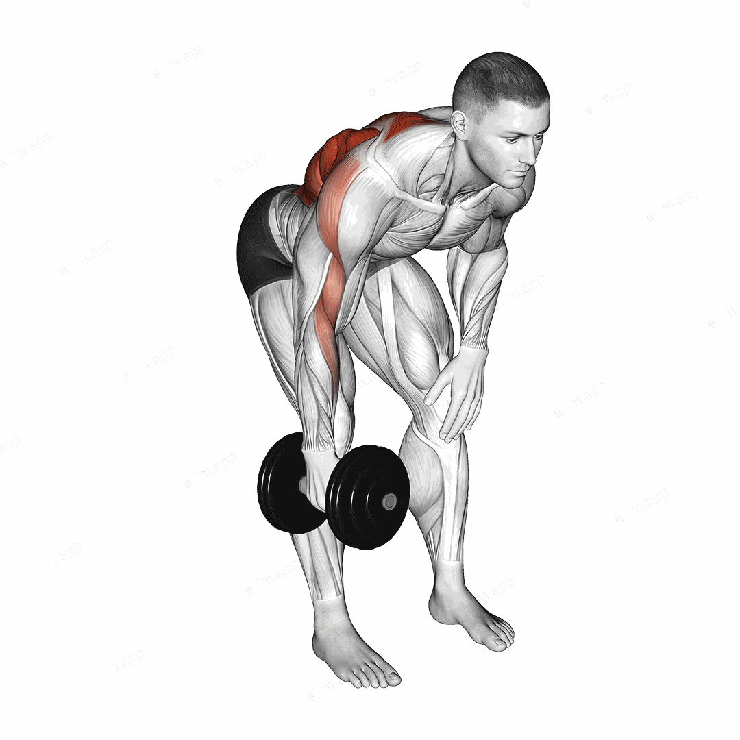Dumbbell Single Arm Bent Over Row exercise targeting Back