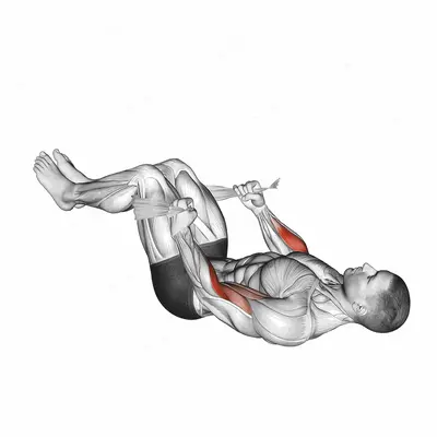Lying Double Legs Hammer Curl with Towel exercise targeting Upper Arms and Brachioradialis