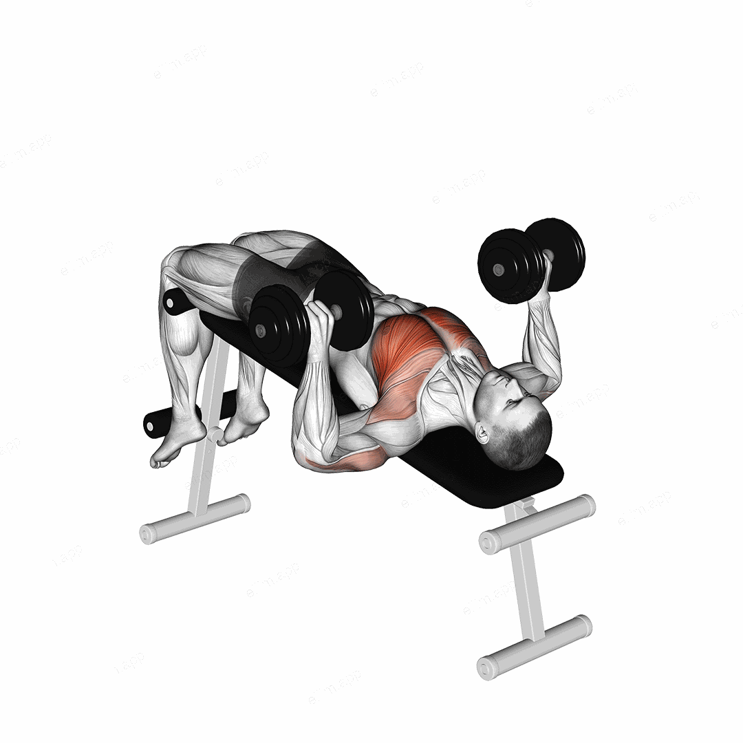 Dumbbell Decline Bench Press exercise targeting Chest and Pectoralis Major Sternal Head