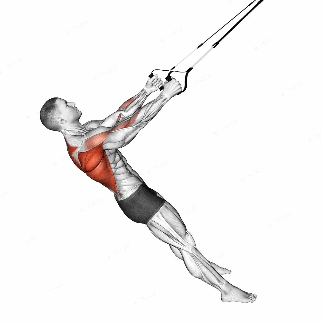 Suspender Row exercise targeting Back