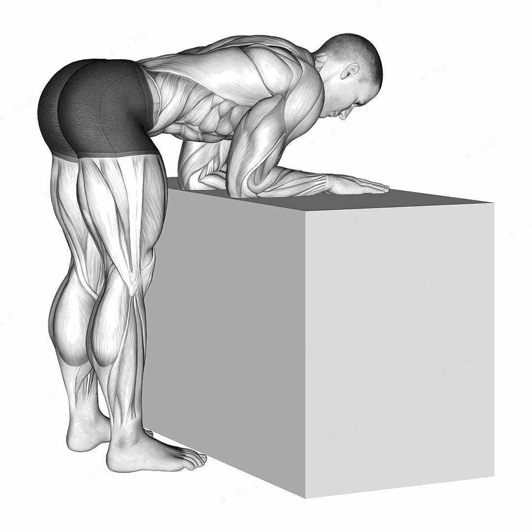 Elbow Extensor Anconeus Stretch exercise targeting Upper Arms