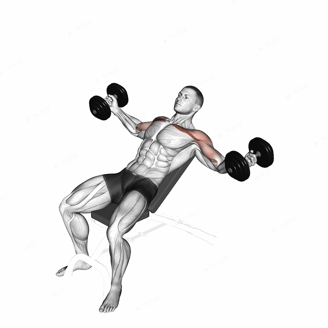 Dumbbell Incline Twisted Flyes exercise targeting Chest and Pectoralis Major Clavicular Head