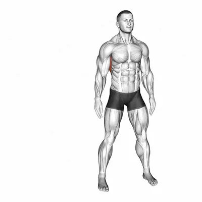 Slopes Towards Stretch exercise targeting Back and Latissimus Dorsi