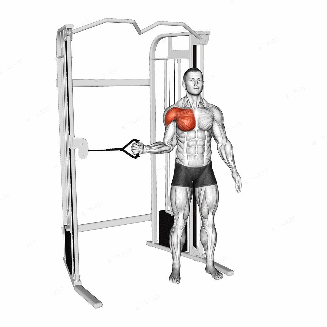 Cable Shoulder Internal Rotation exercise targeting Shoulders and Deltoid Anterior