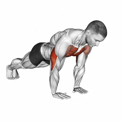 Close Grip Push up exercise targeting Upper Arms