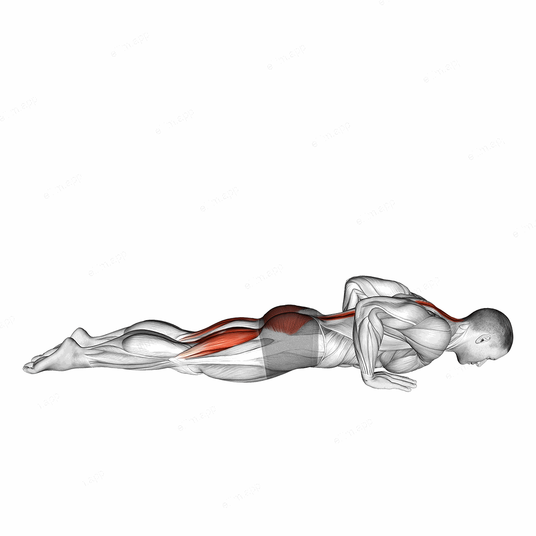 Cobra Yoga Pose exercise targeting Waist and Rectus Abdominis
