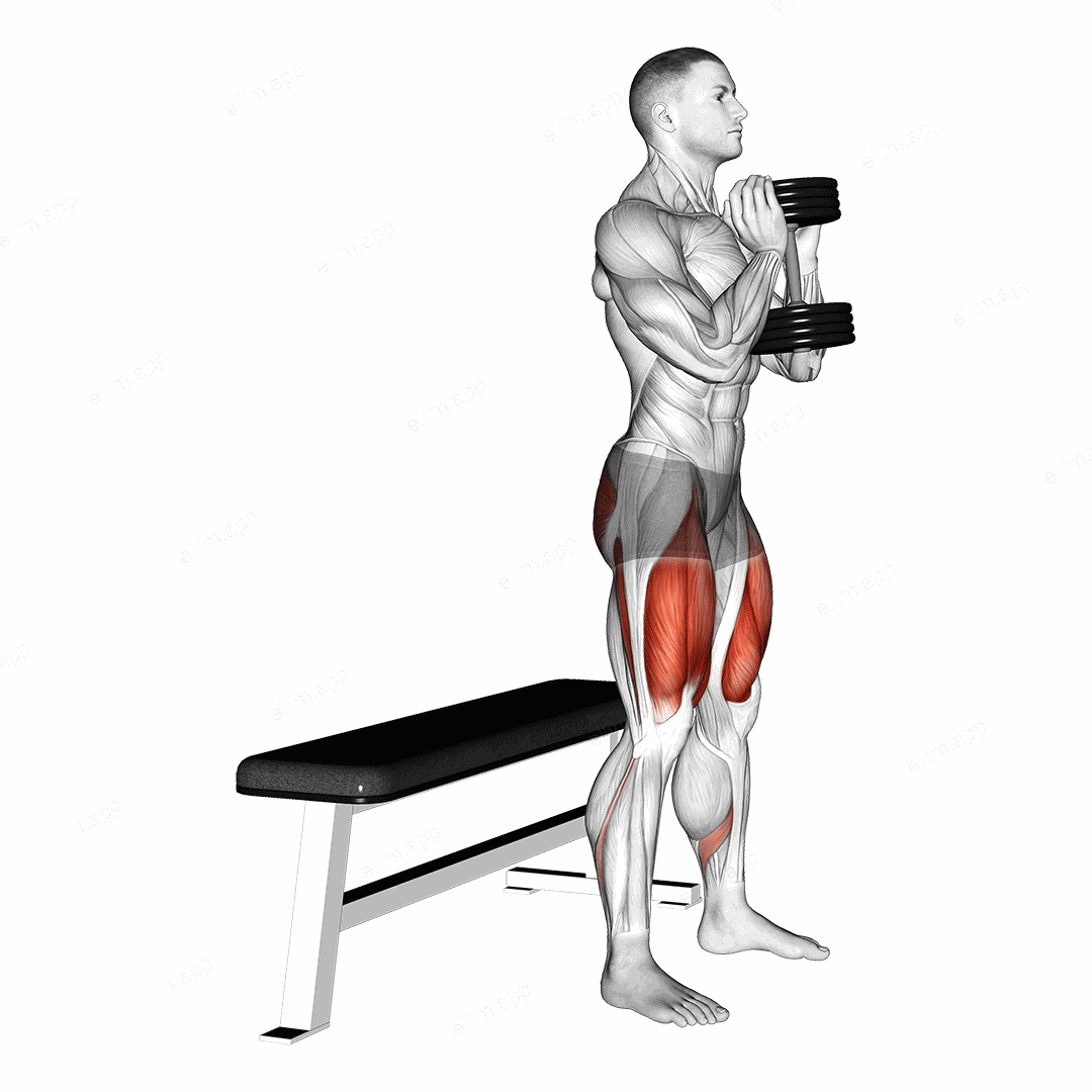 Dumbbell Goblet Box Squat exercise targeting Gluteus Maximus and Quadriceps