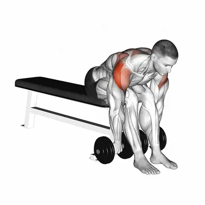 Dumbbell Seated Bent Over Rear Delt Row exercise targeting Shoulders and Deltoid Posterior