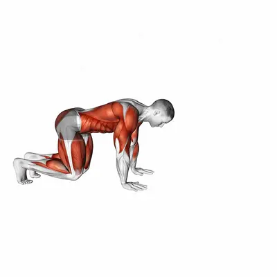 Bear Crawl (low hip) exercise targeting Plyometrics