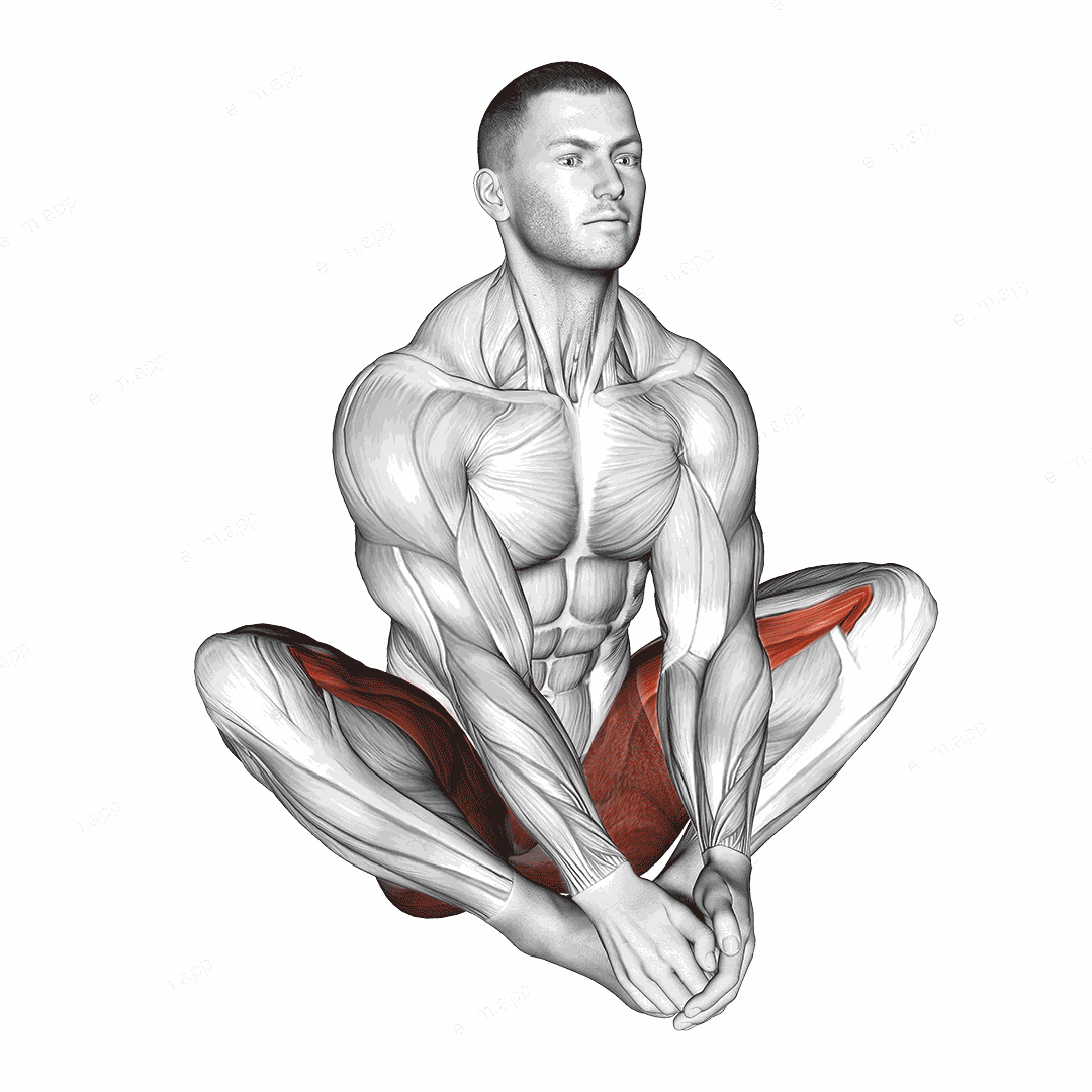 Butterfly Yoga Flaps exercise targeting Hips and Adductor Brevis