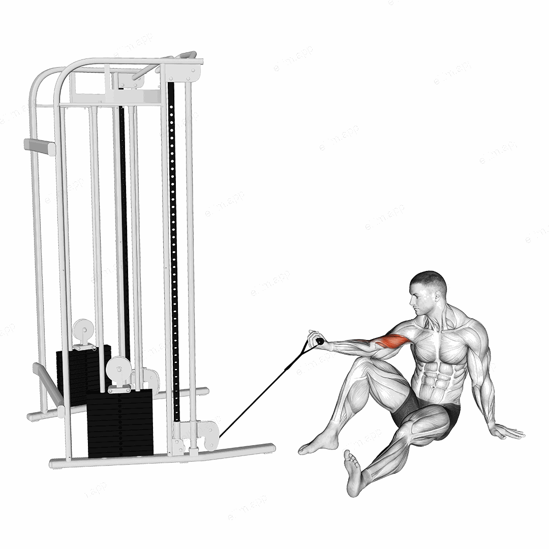 Cable Seated Floor One Arm Concentration Curl exercise targeting Upper Arms and Biceps Brachii