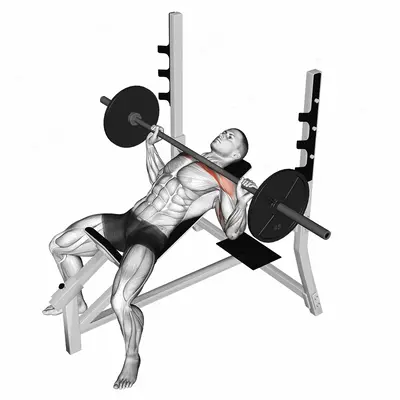 Barbell Incline Bench Press exercise targeting Chest and Pectoralis Major Clavicular Head