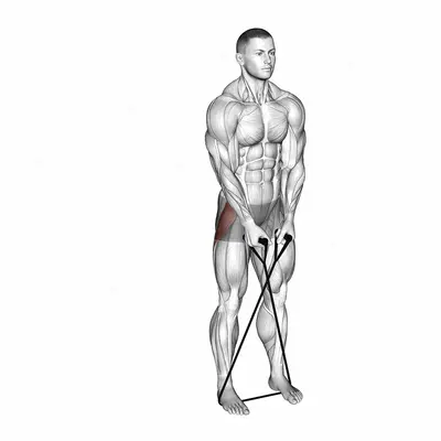 Band Cross Abduction exercise targeting Hips and Gluteus Medius