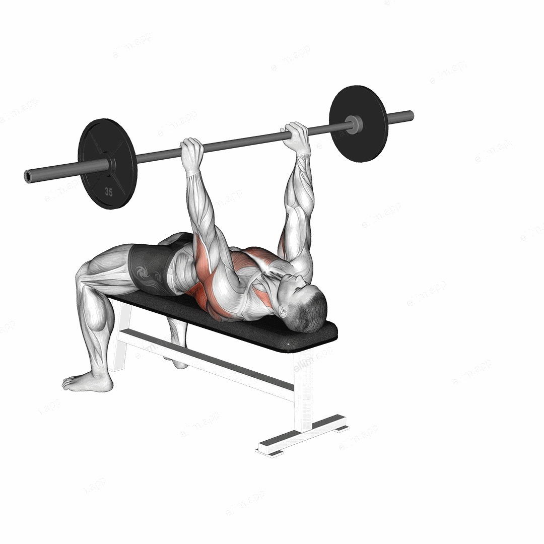 Barbell Bent Arm Pullover exercise targeting Back and Latissimus Dorsi