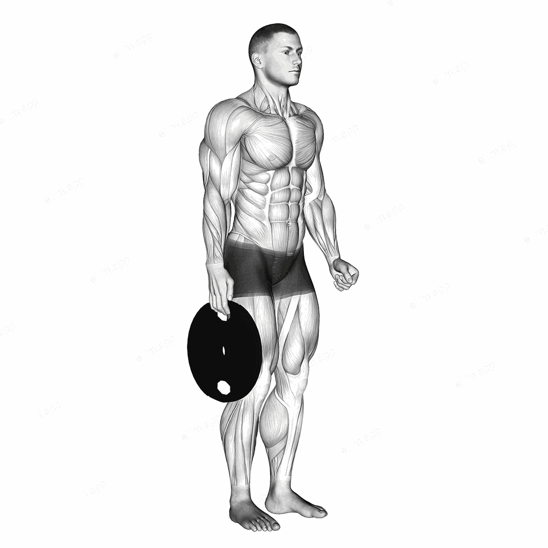 Weighted Standing Hand Squeeze exercise targeting Forearms