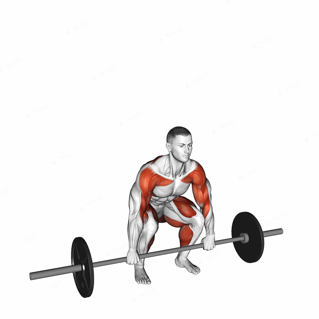 Barbell Muscle Clean exercise targeting Weightlifting