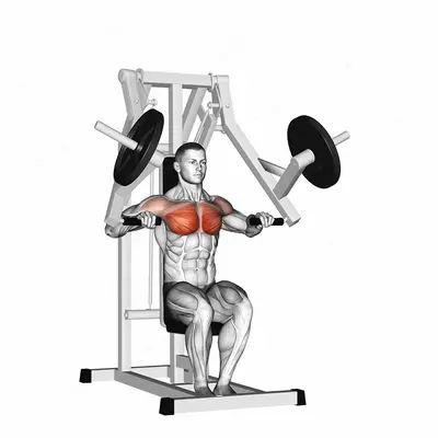 Lever Chest Press (plate loaded) exercise targeting Chest and Pectoralis Major Sternal Head