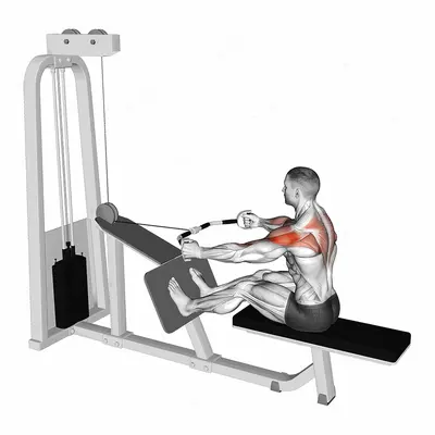 Cable Rear Delt Row (parallel bar) exercise targeting Shoulders