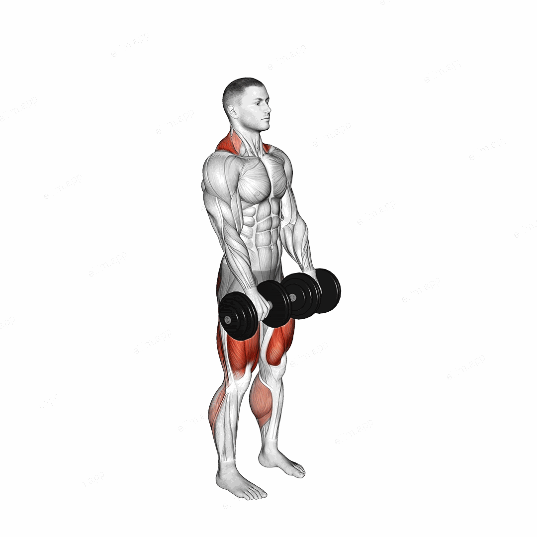 Dumbbell RDL to Jump Shrug exercise targeting Hamstrings and Quadriceps
