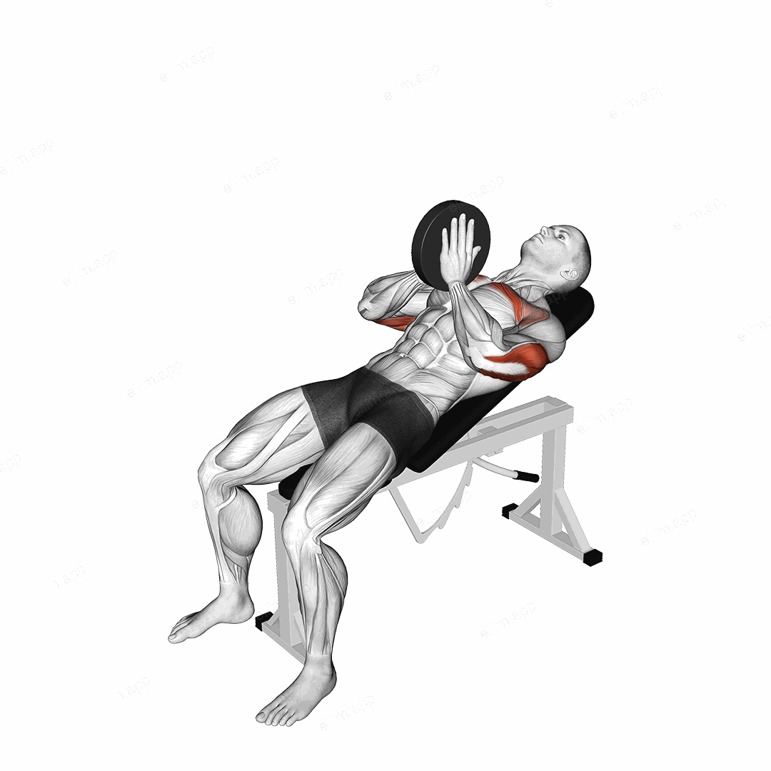 Weighted Incline Svend Press exercise targeting Upper Arms and Pectoralis Major Clavicular Head